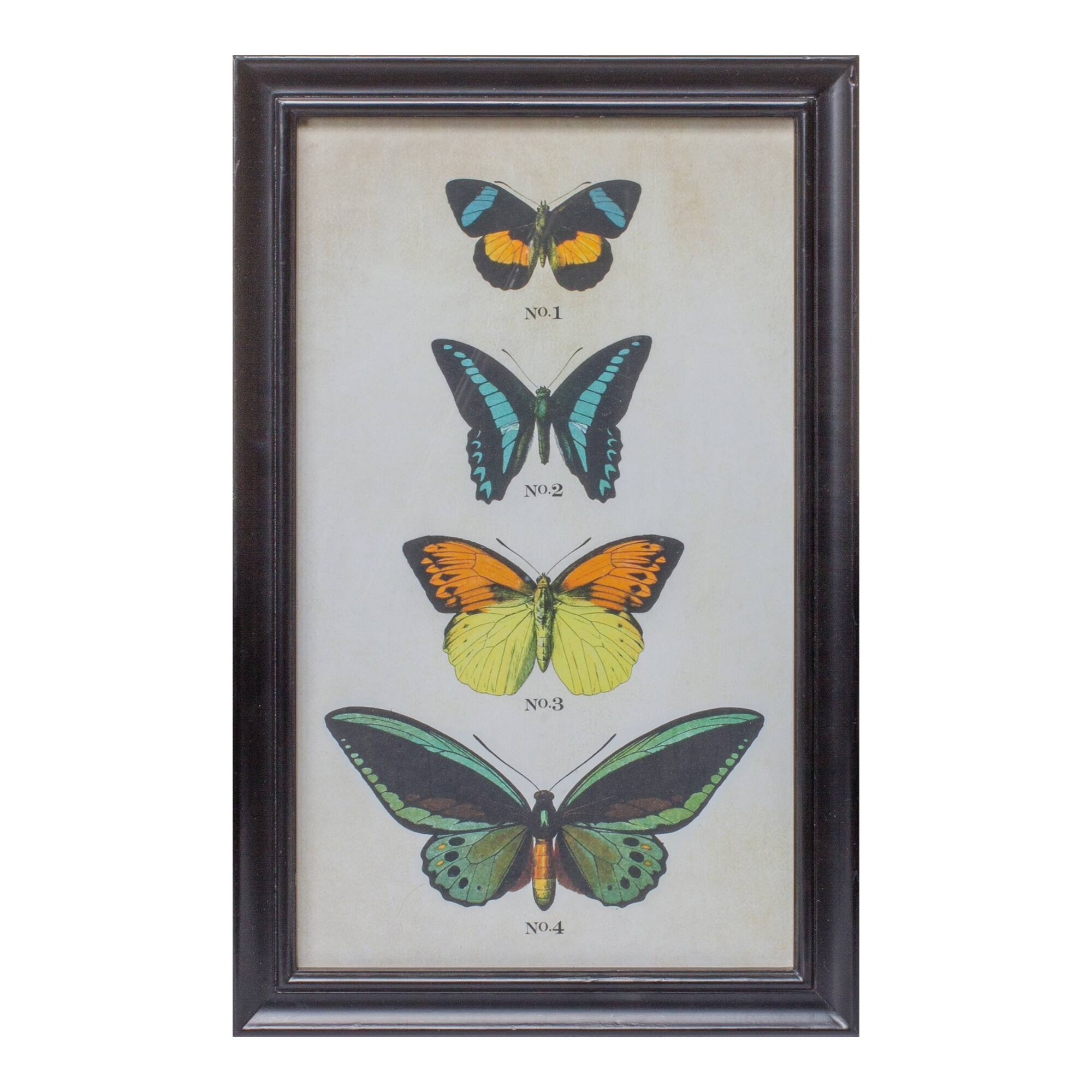 Framed Butterfly Print Set